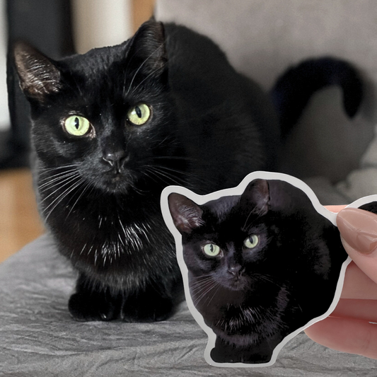 *PREORDER* Custom Pet Sticker Set (10 pack)