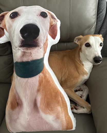 *NEW* custom pet pillow