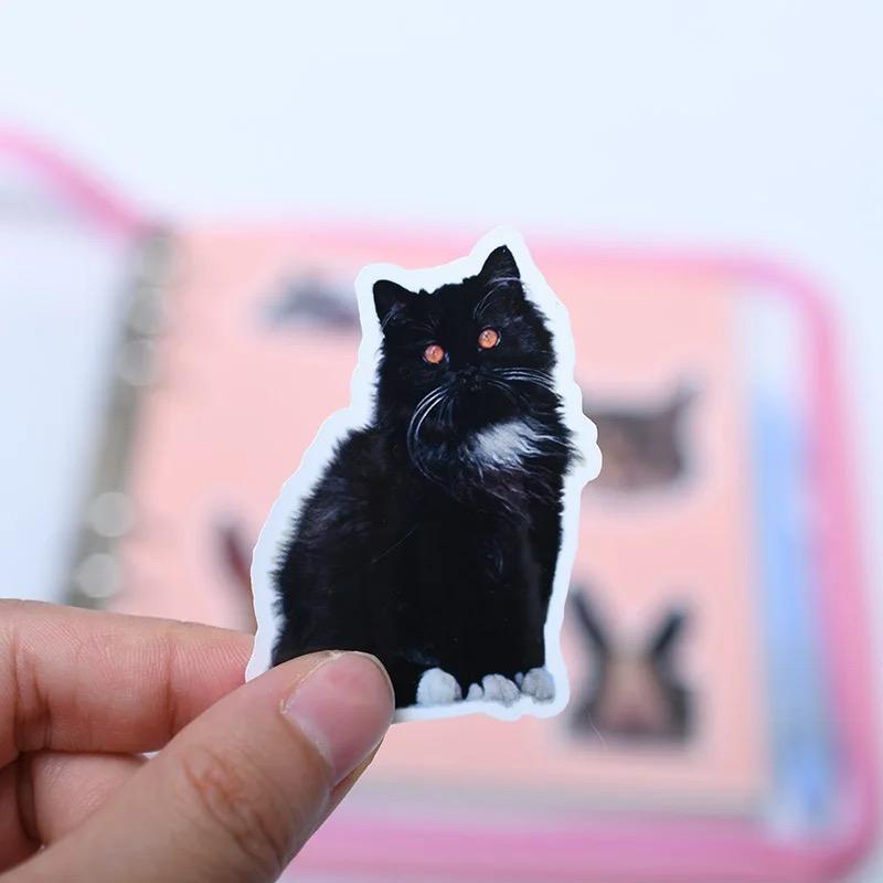 *NEW* custom pet sticker set (10 pack)