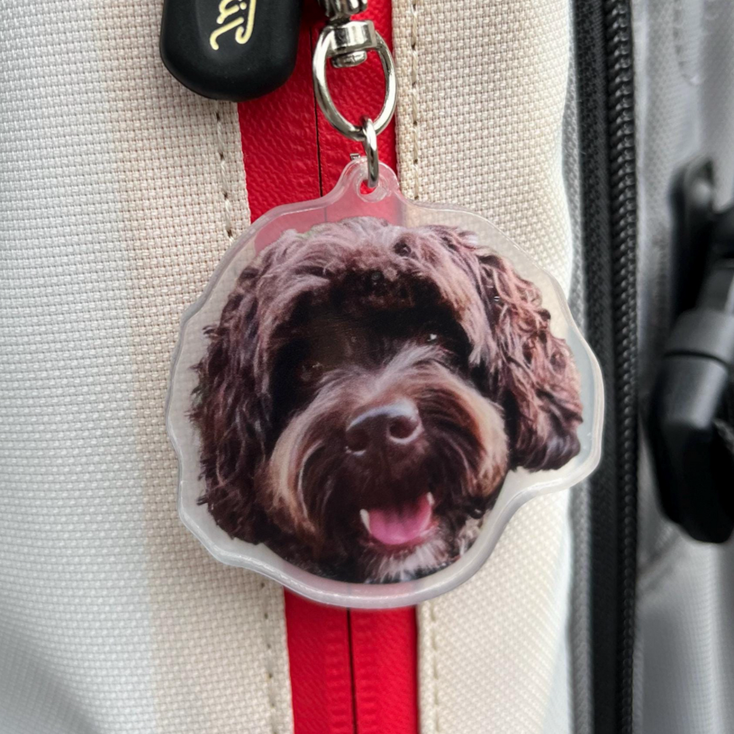 *NEW* custom pet keychain