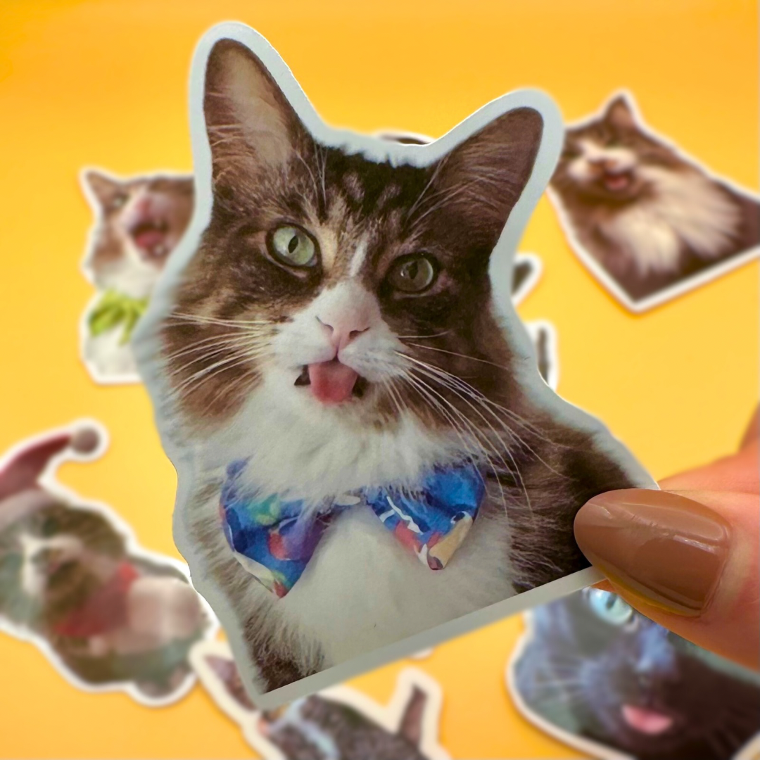 *NEW* custom pet sticker set (10 pack)