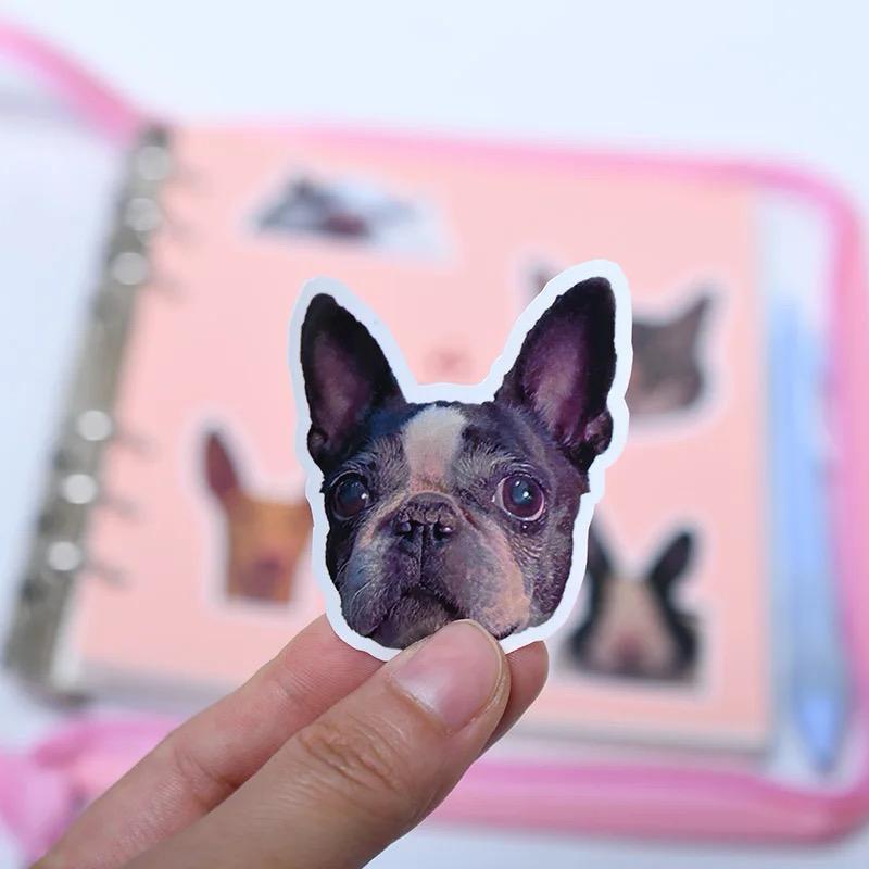 *NEW* custom pet sticker set (10 pack)