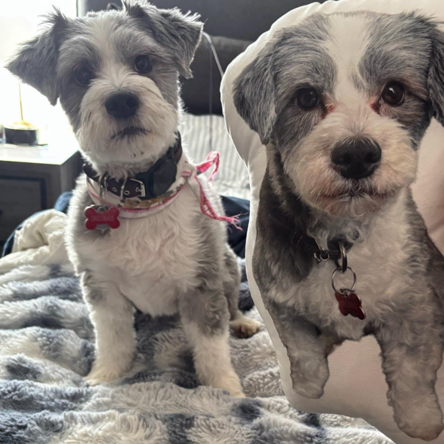 *NEW* custom pet pillow