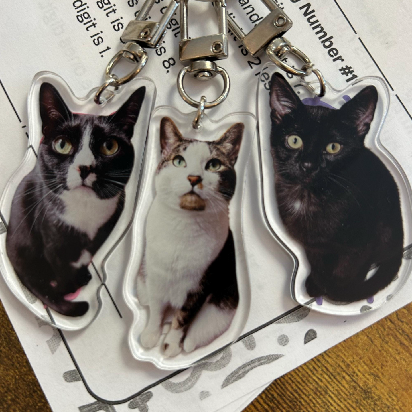 *NEW* custom pet keychain