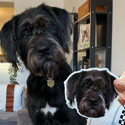 *NEW* custom pet sticker set (10 pack)