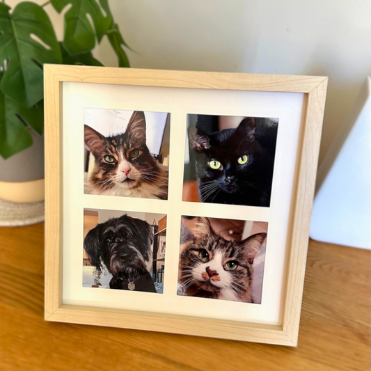 *NEW* custom pet photo collage kit