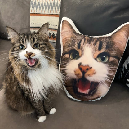 *NEW* custom pet pillow