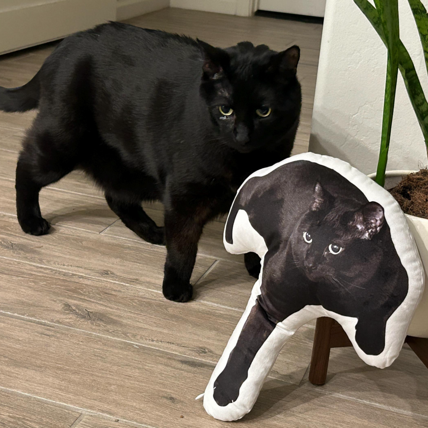 *NEW* custom pet pillow