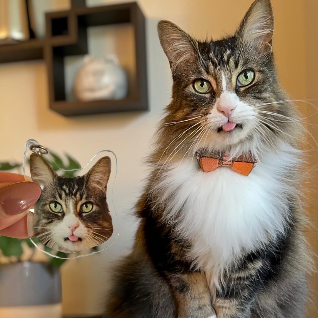 *NEW* custom pet keychain