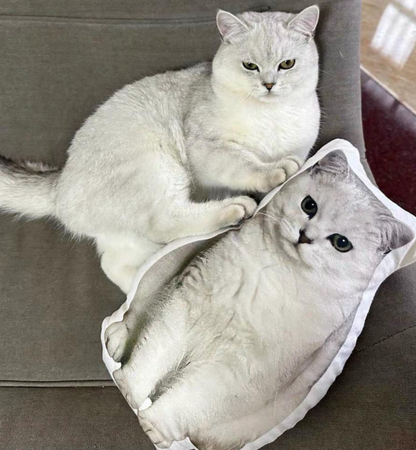 *NEW* custom pet pillow