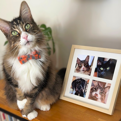 *NEW* custom pet photo collage kit