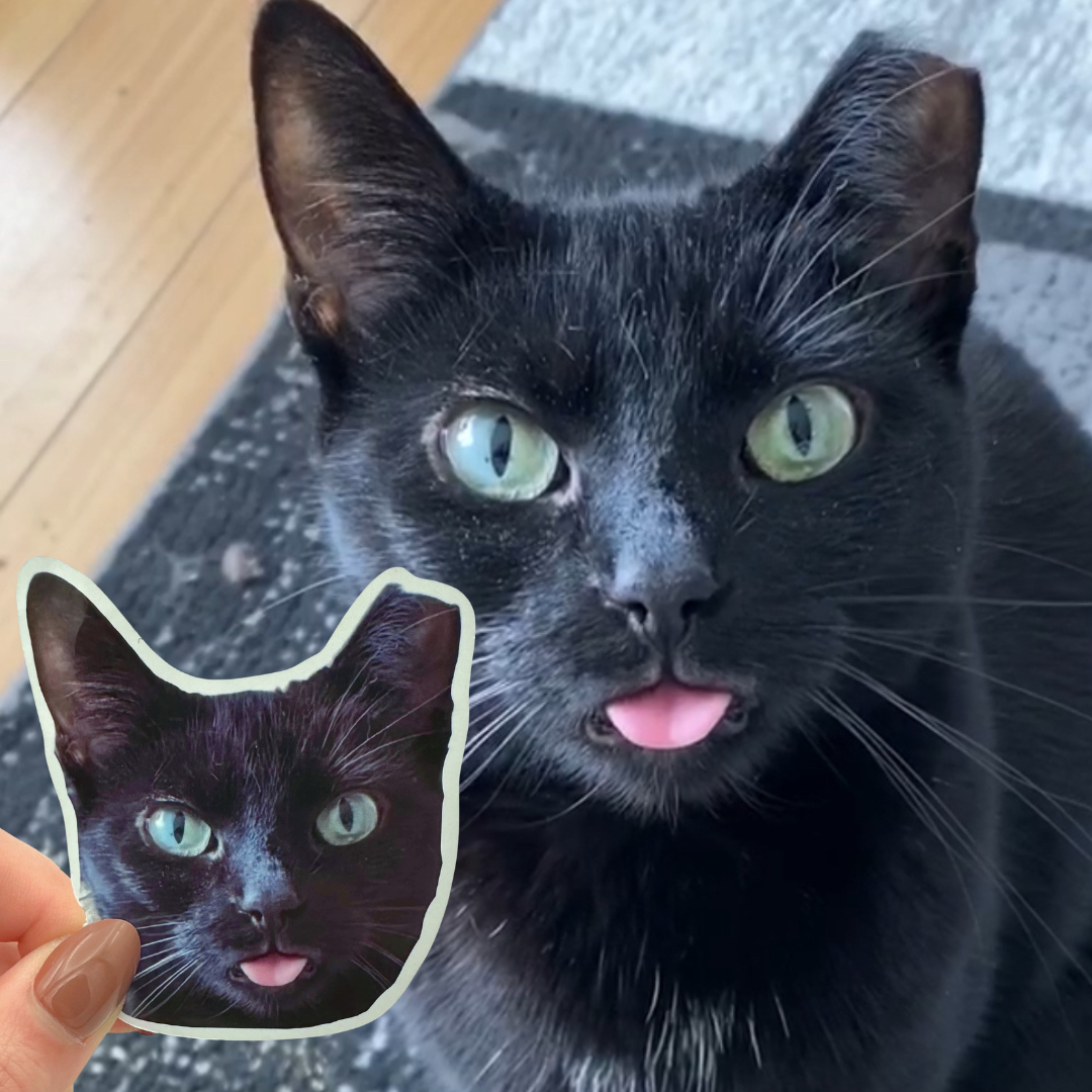 *NEW* custom pet sticker set (10 pack)