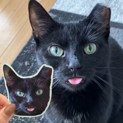 *NEW* custom pet sticker set (10 pack)