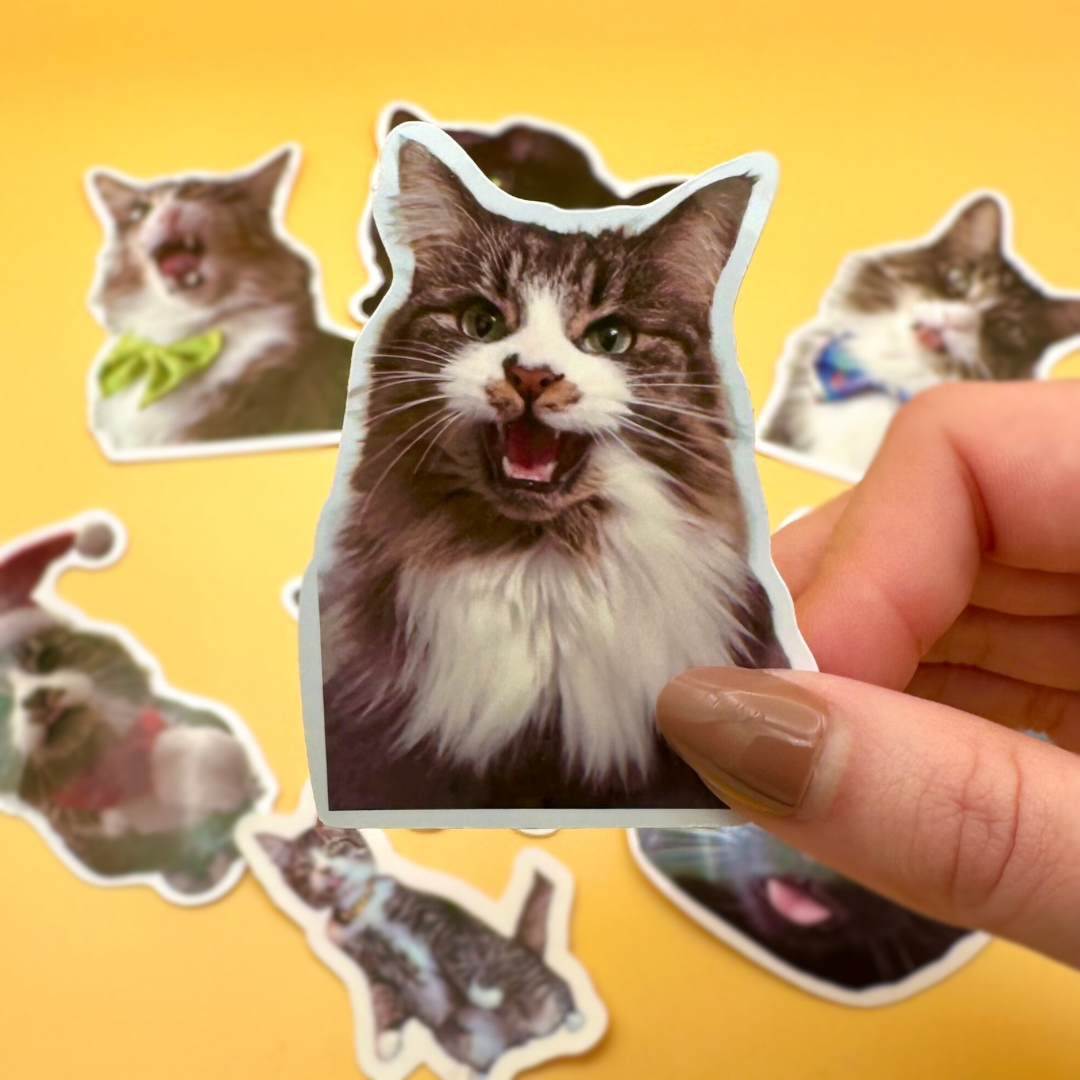 *NEW* custom pet sticker set (10 pack)