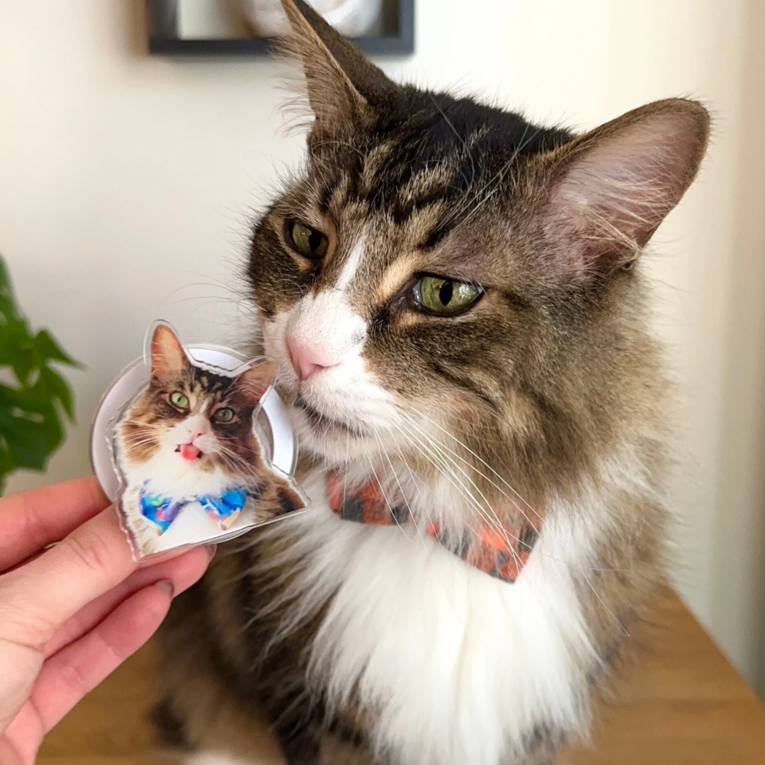 *NEW* custom pet phone popsocket