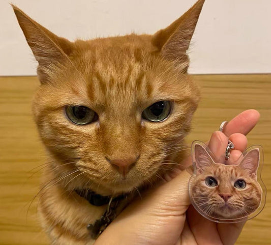 *NEW* custom pet keychain